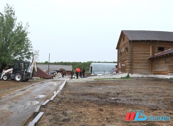 "Сосновый бор" в Волгограде приговорили к сносу